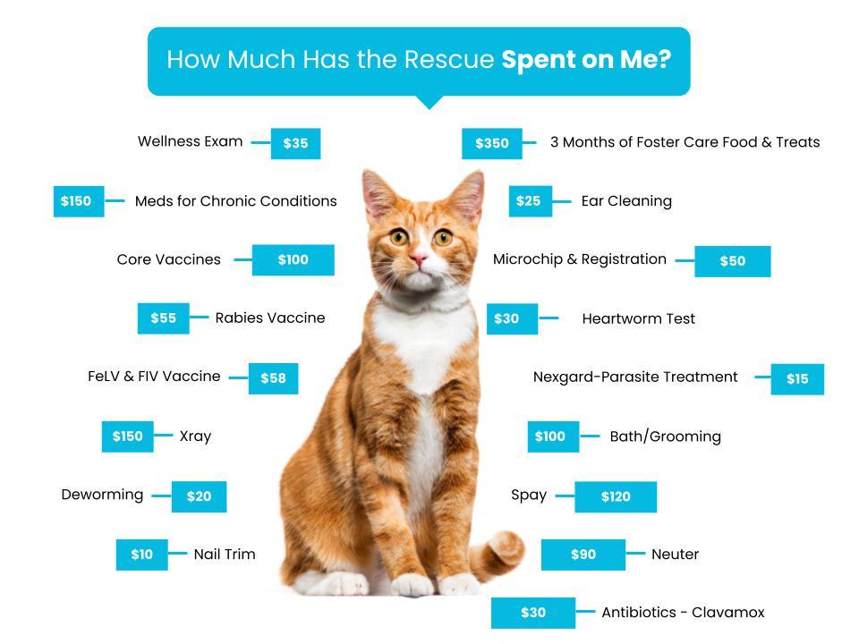 Astoria Cat Rescue Fee Graphic