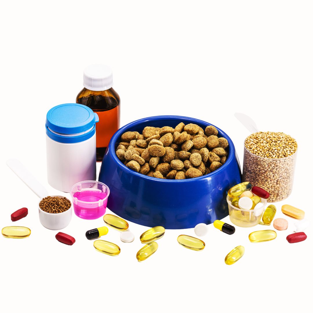 cat-supplements (1)