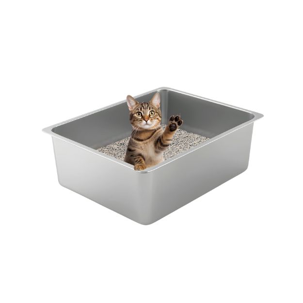 litter-box-special-2